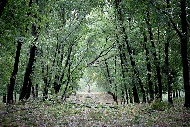 Золотая осень