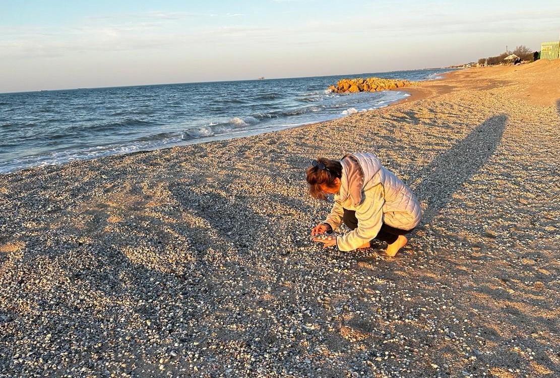  туристы ежегодно увозят тоннами забирать ракушки моря 