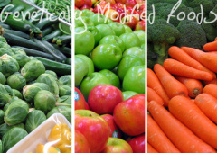 Генномодифицированные продукты Генномодифицированные продукты