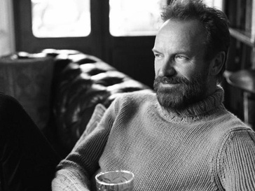 Стинг, Sting Стинг, Sting