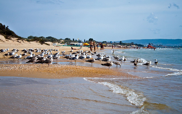 Анапа Анапа отдых на море