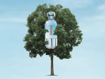 «One Fragrance, One Tree» «One Fragrance, One Tree»