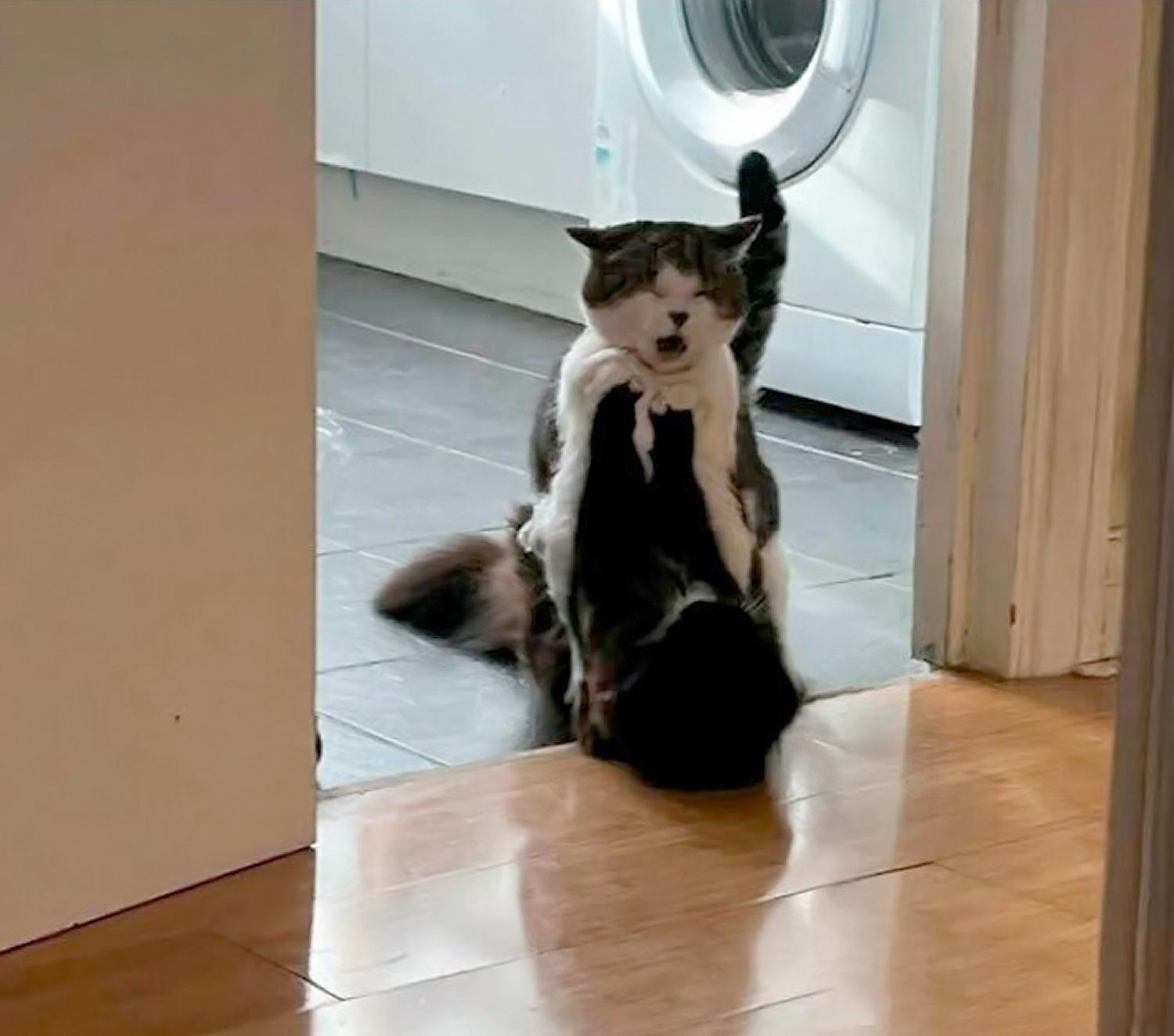  ���� ������� ����� ������������ ������� ������ ��� 