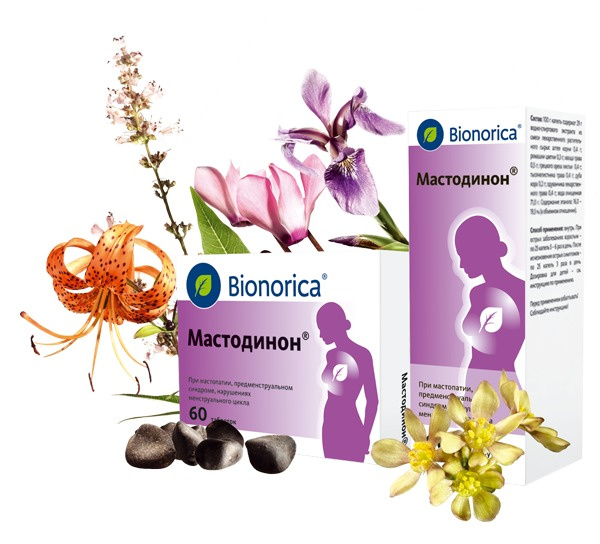 Растительный негормональный препарат «Мастодинон» компании «Бионорика» Растительный негормональный препарат Мастодинон компании Бионорика