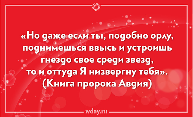 цитаты о жизни