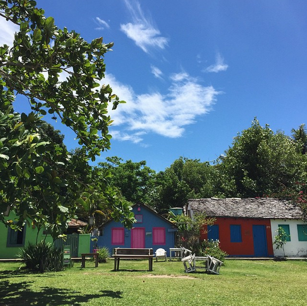 медовый месяц Соланж Ноулз