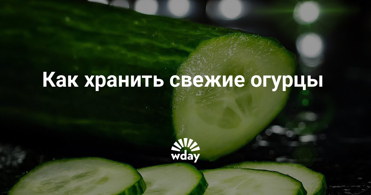 Как правильно хранить свежие огурцы в домашних условиях 785
