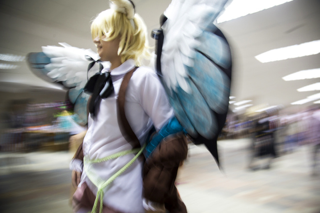 ANIMAU 2014: COMICS