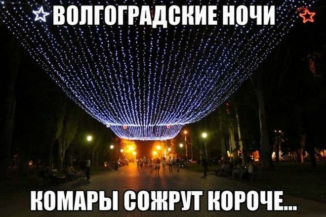 Жара в Волгограде: фото волгоградцев из соцсетей Волгоград, жара, лето, мошка, комары, средства от мошки, смешные картинки