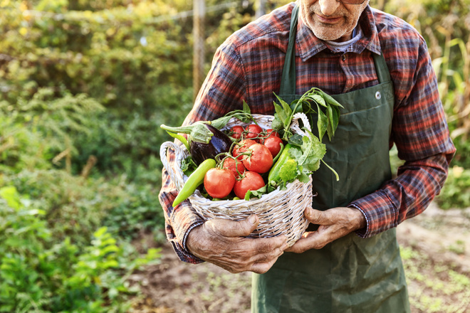 Какие продукты полезны во время диеты Какие продукты полезны во время диеты: список