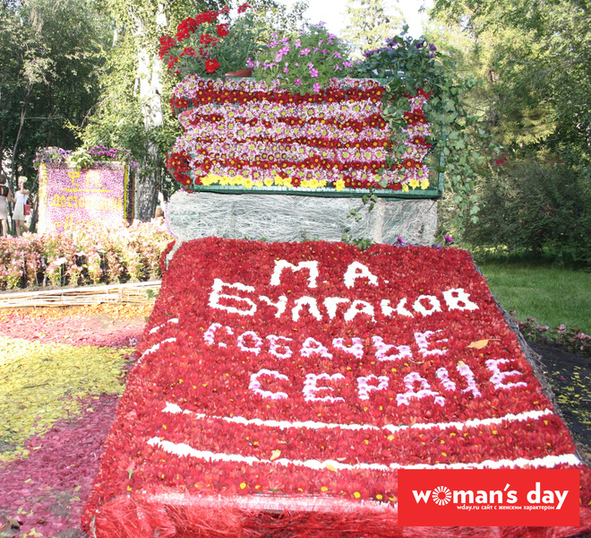 Омск, День города, Флора-2014 Омск, День города, Флора-2014
