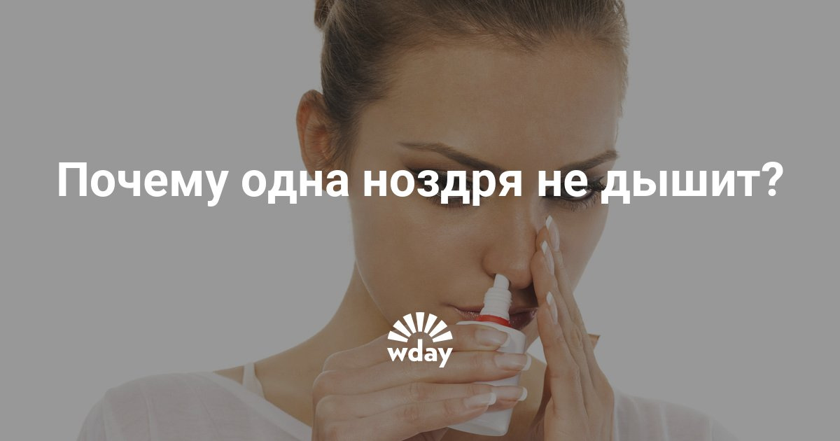 Если нос не дышит что сделать в домашних условиях Если нос не дышит что сделать в домашних условиях