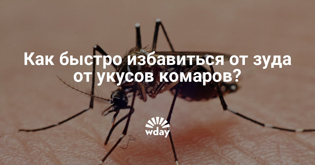 Как избавиться от зуда в домашних условиях быстро и 566