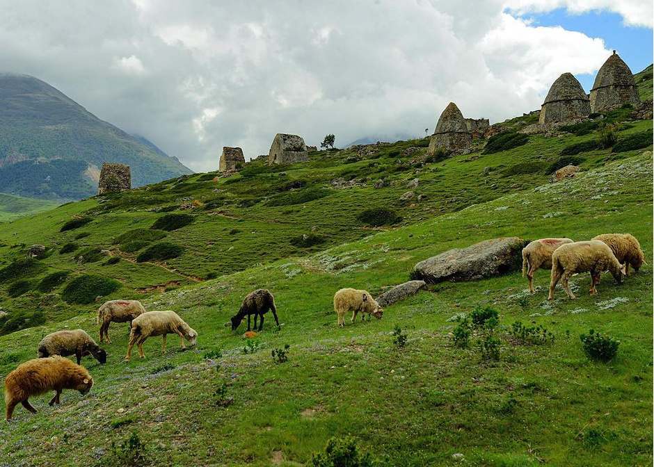 Комплекс средневековых склепов на склонах Чегемского ущелья, село Эльтюбю, Кабардино-Балкария