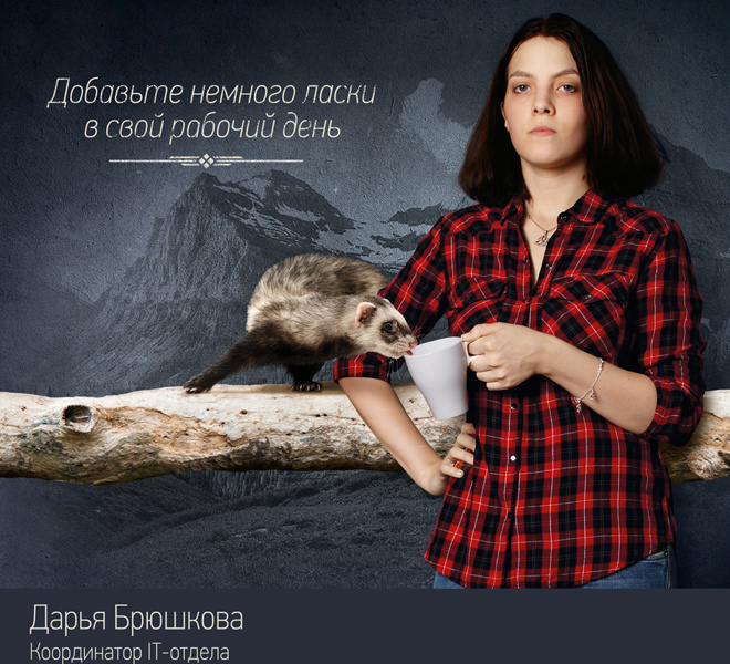 День сисадмина День сисадмина