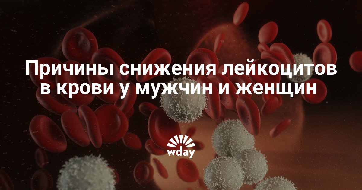Повышенные лейкоциты в крови у беременных женщин причины 77