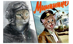  смешные авиаплакаты честь дородного кота виктора обиженного аэрофлотом 