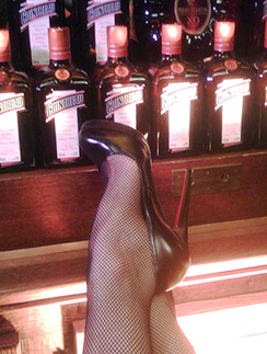 Дита Фон Тиз (Dita von Teese). Дита Фон Тиз (Dita von Teese)
