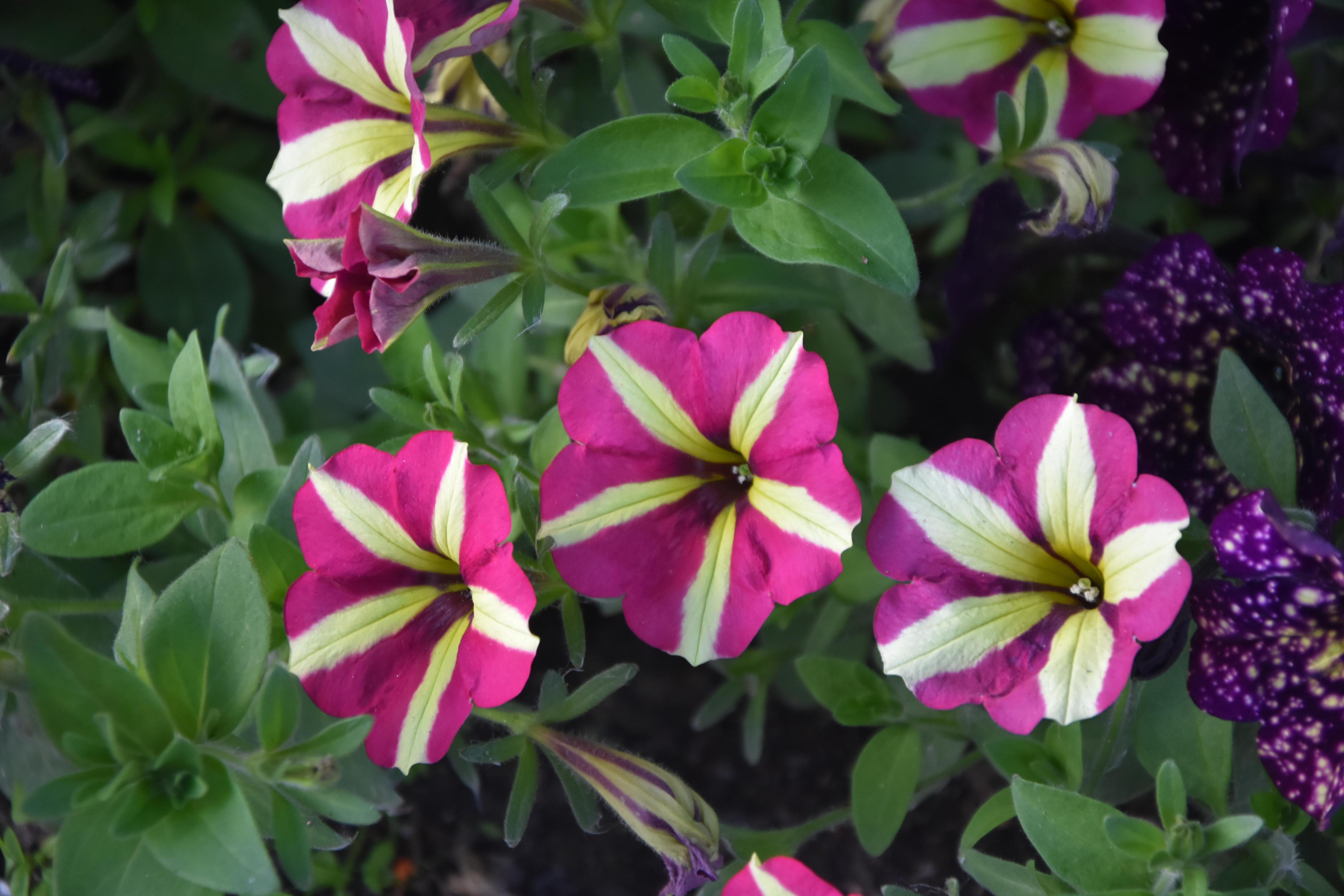  ���������� ������ ������� ������� ������ ��������� �������� 