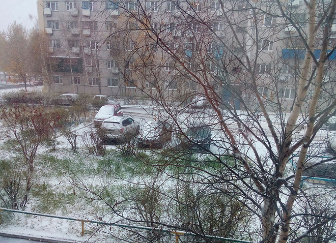 Какой будет зима в Сургуте