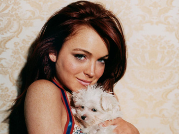 Линдсей Лохан (Lindsay Lohan) решила не оставаться в стороне Линдсей Лохан (Lindsay Lohan) решила не оставаться в стороне