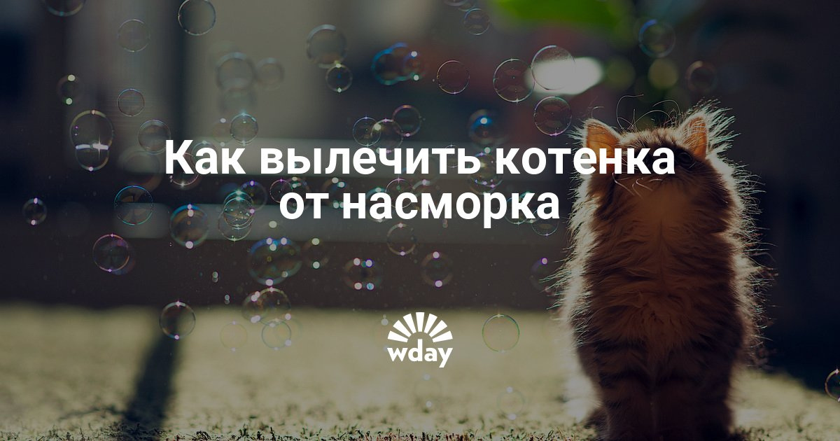 Какой самый хороший спрей от насморка