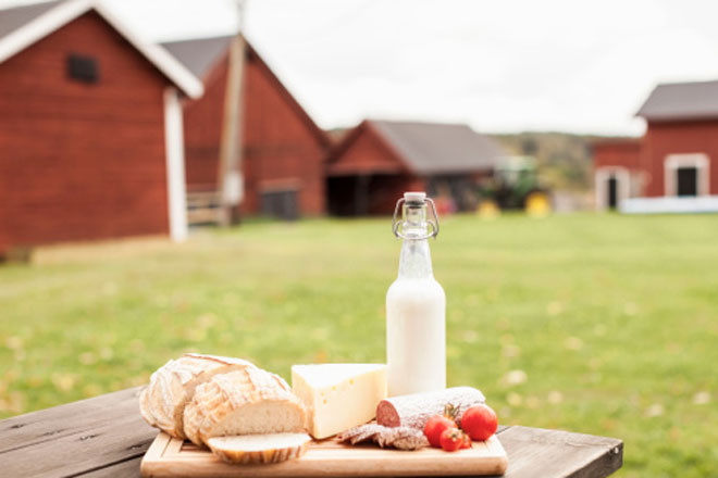 Список продуктов, запрещенных для ввоза