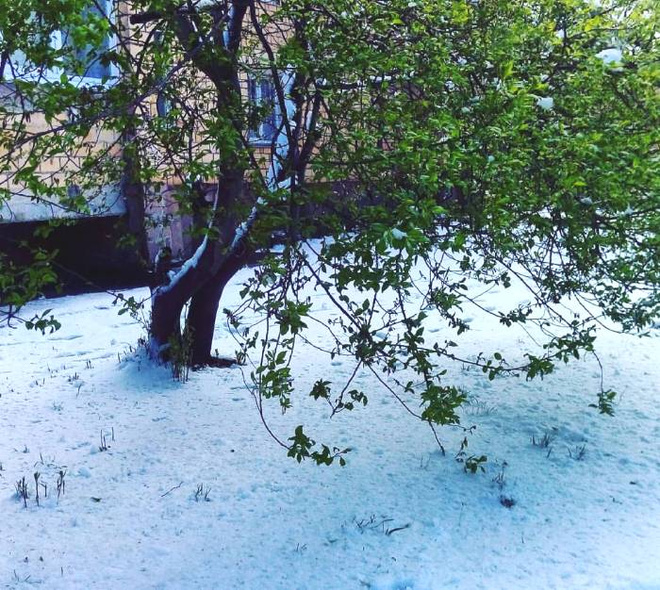 Снегопад в Красноярске Снегопад в Красноярске