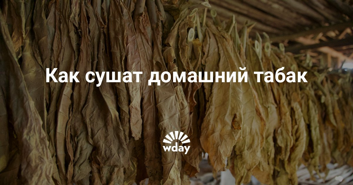Как новый том сделать локальным Как новый том сделать локальным