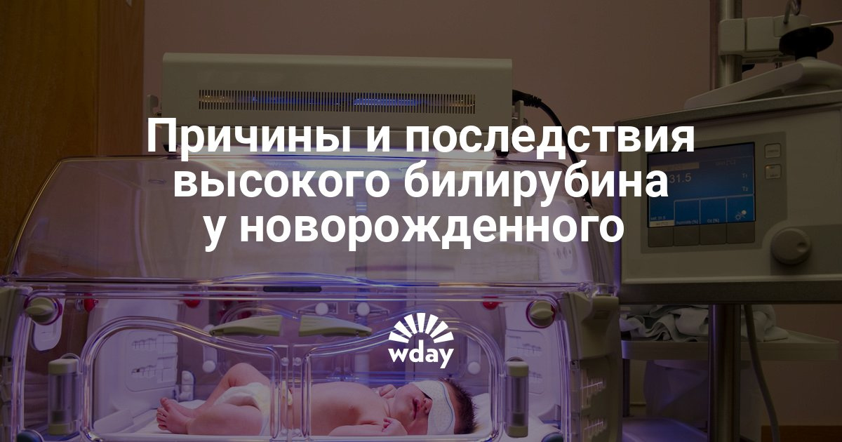 Почему у новорожденных высокий билирубин Почему у новорожденных высокий билирубин