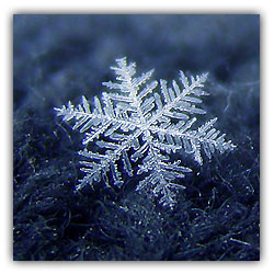 — Давайте-ка проверим, кто из нас... — Давайте-ка проверим, кто из нас...