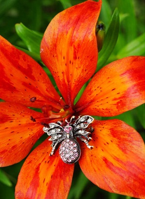 Сбор заказов. Море бижутерии, аксе... Сбор заказов. Море бижутерии, аксе...