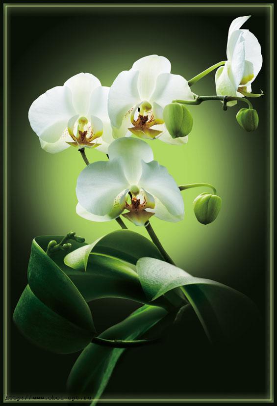 Сбор заказов. Наступила пора ремон... Сбор заказов. Наступила пора ремон...