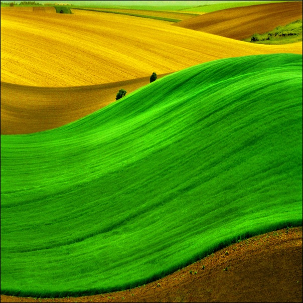 Тренинг «Ветер Перемен», или День... Тренинг «Ветер Перемен», или День...