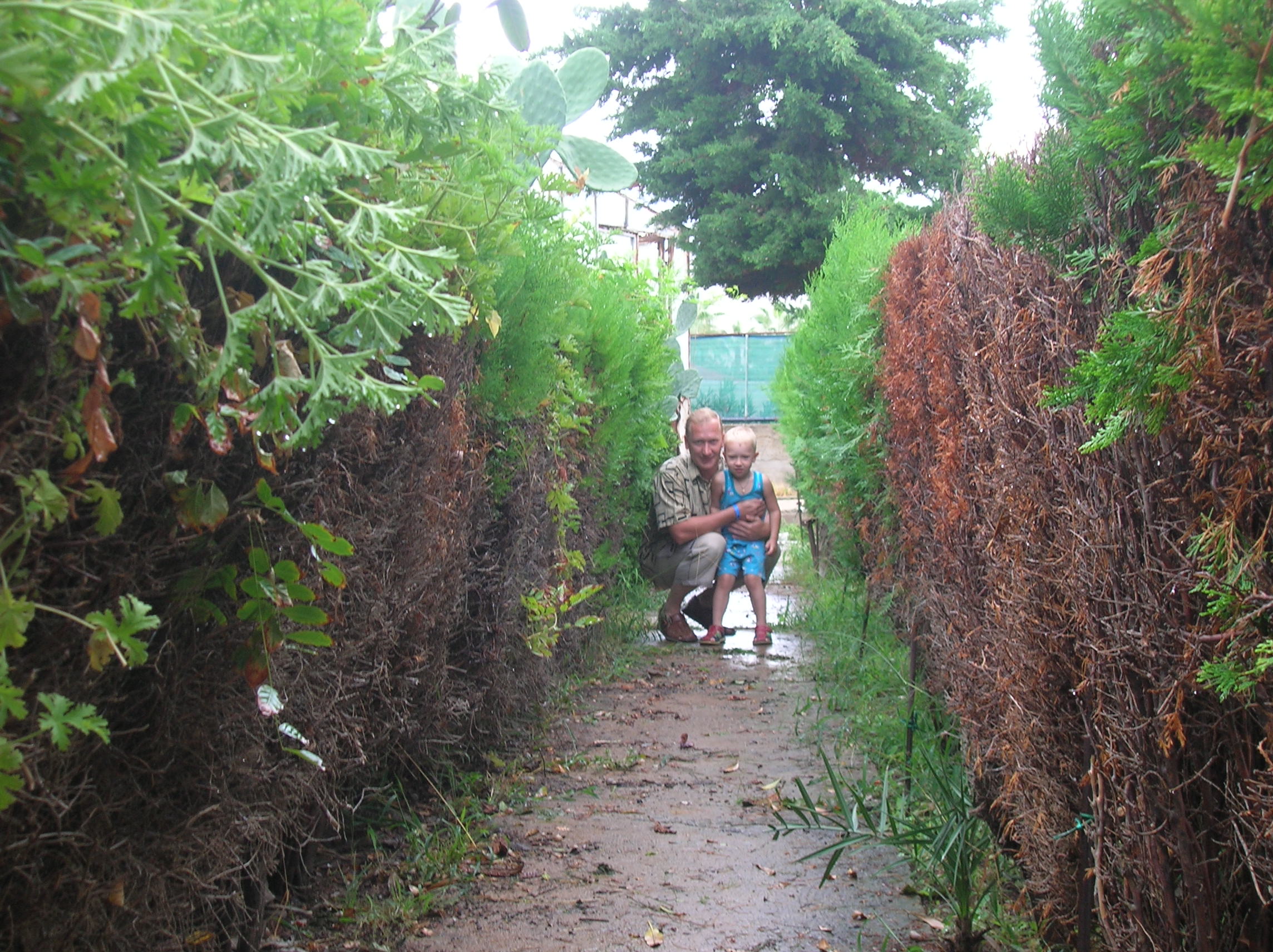 В зеленом заборчике :) В зеленом заборчике :)