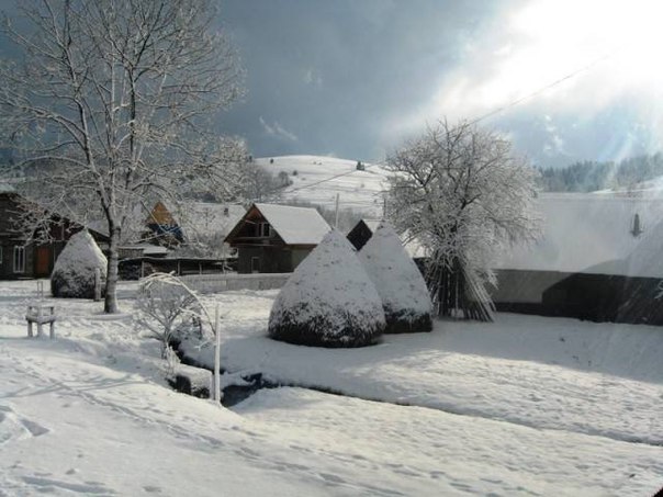 На балы если вы едете, то именно д... На балы если вы едете, то именно д...