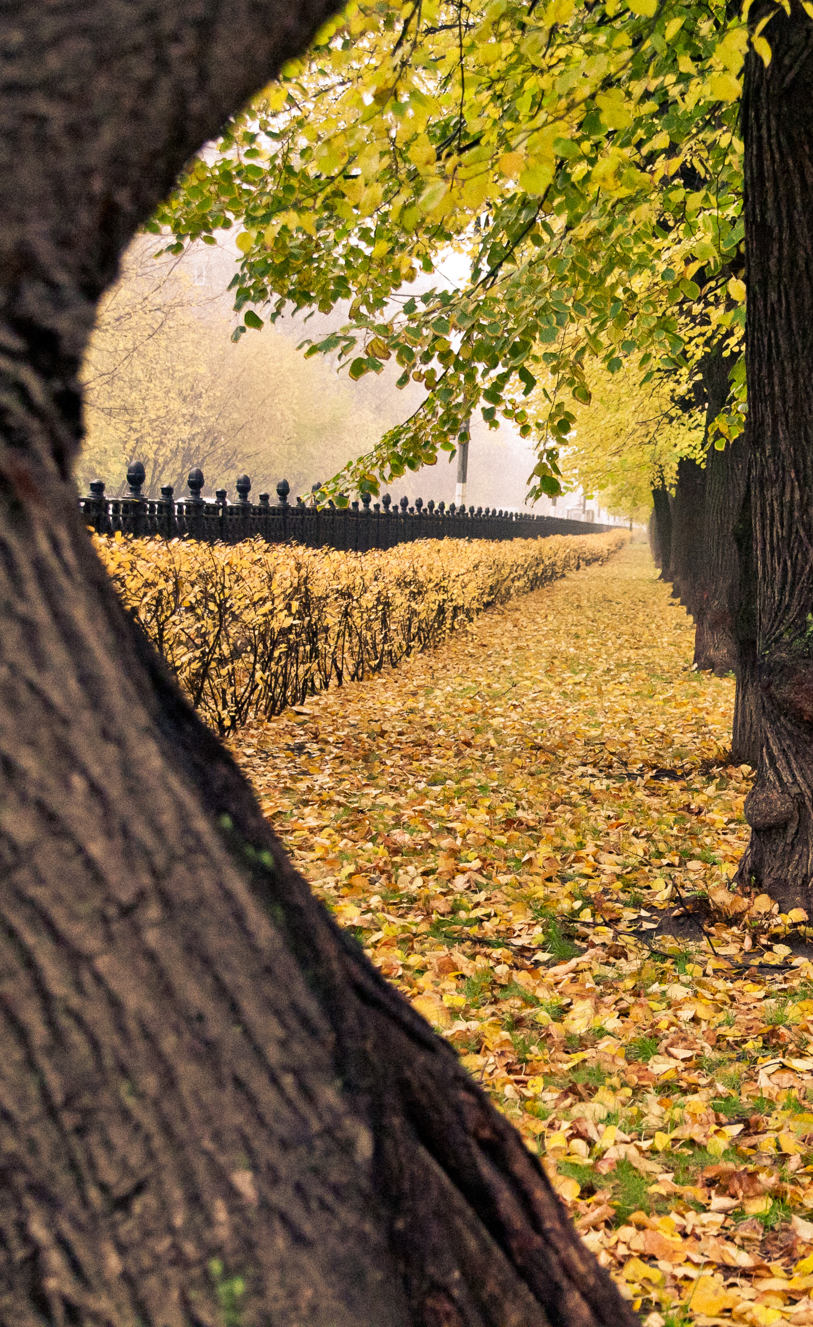 Дорогие друзья!
Седьмой номер жур... Дорогие друзья!
Седьмой номер жур...