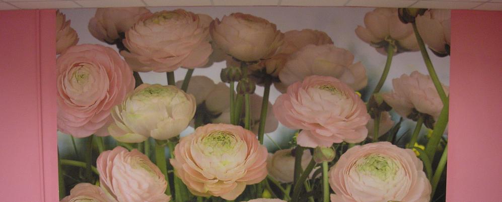 Бесплатные мастер-классы на 8, 9 и... Бесплатные мастер-классы на 8, 9 и...