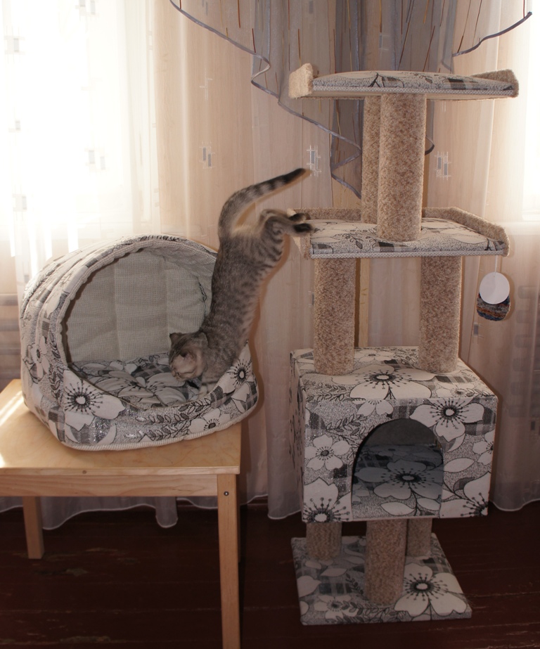 Сбор заказов. Зоотовары Нижегородс... Сбор заказов. Зоотовары Нижегородс...