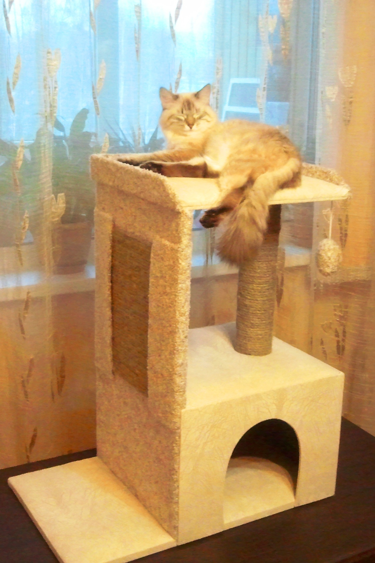 Сбор заказов. Зоотовары Нижегородс... Сбор заказов. Зоотовары Нижегородс...