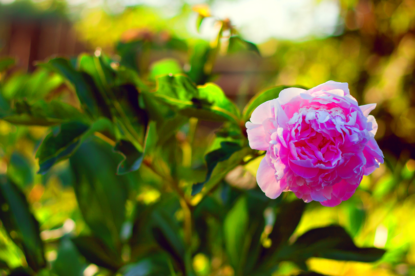 Для записи на мини-прогулку остает... Для записи на мини-прогулку остает...