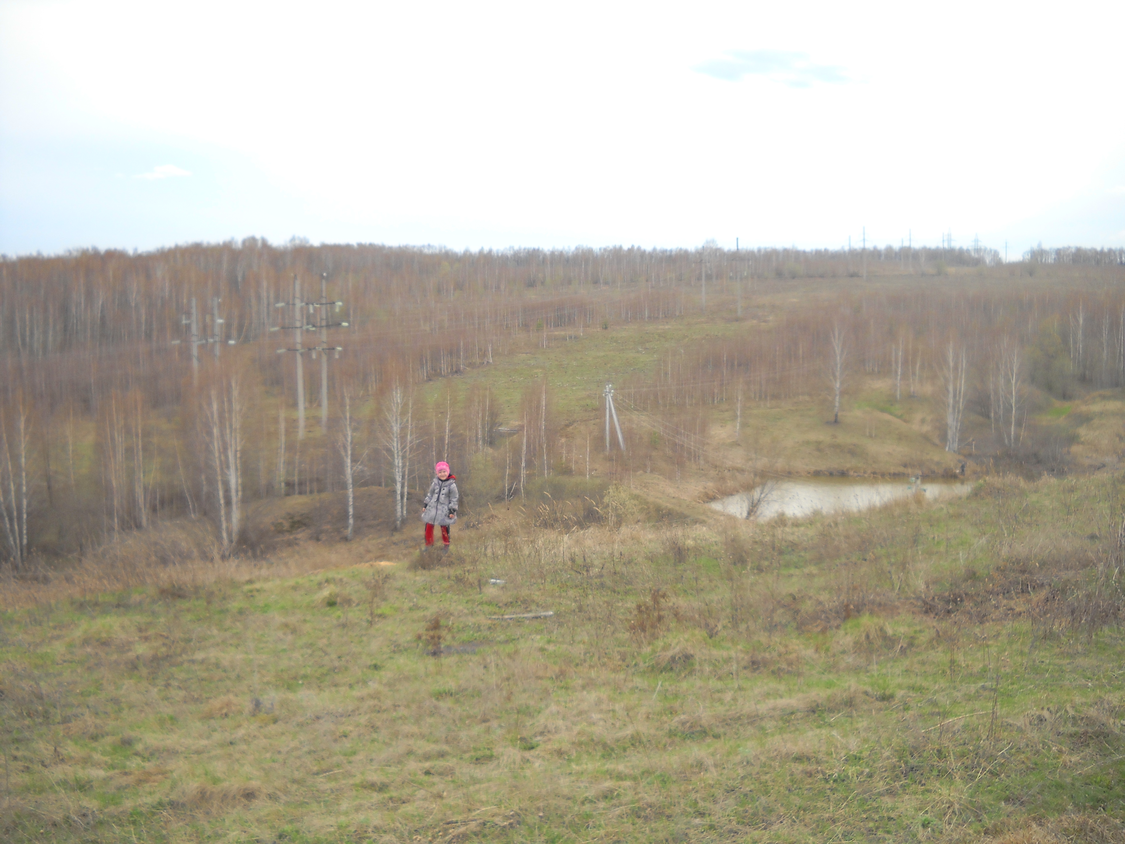 в 2013 решили его начать обустраив... в 2013 решили его начать обустраив...