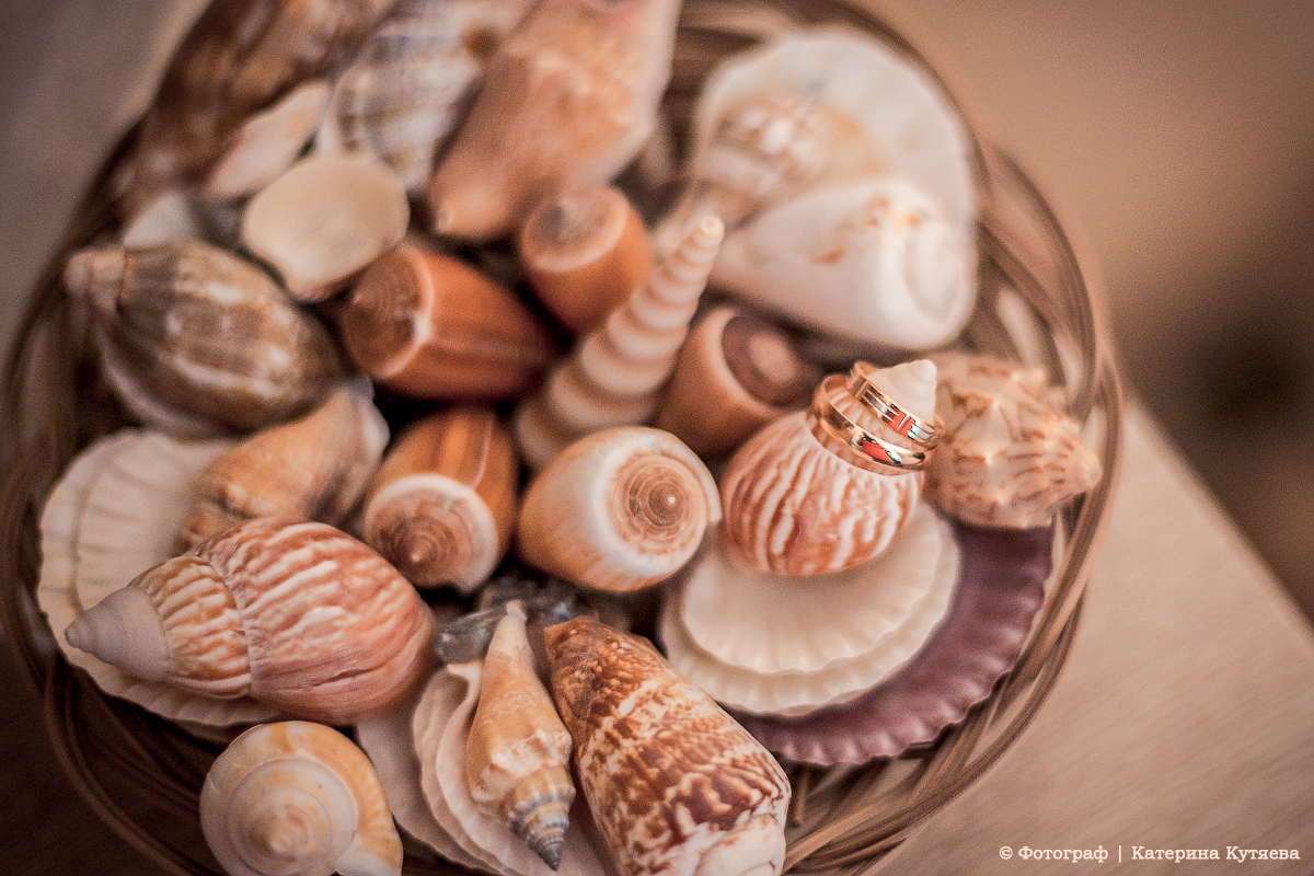 а я еще снимаю и свадьбы, кстати .... а я еще снимаю и свадьбы, кстати ....