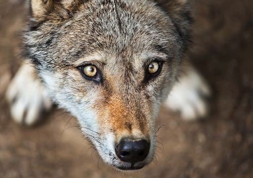 Слушайте тишину. Хоть иногда. С ус... Слушайте тишину. Хоть иногда. С ус...