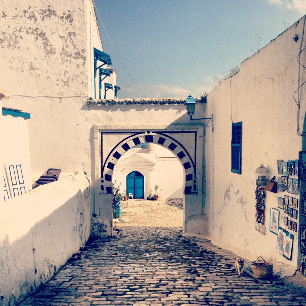 Где в Тунисе лучше отдыхать?
www... Где в Тунисе лучше отдыхать?
www...