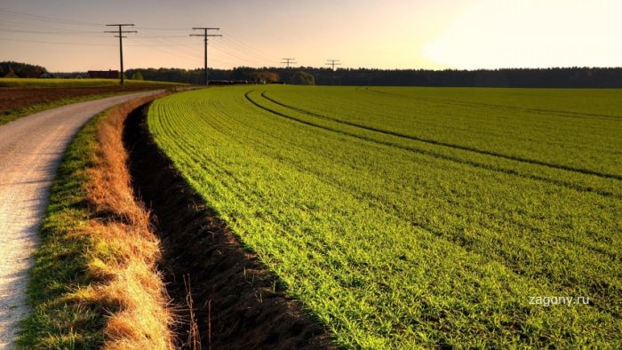 Самый лучший и самый правильный вы... Самый лучший и самый правильный вы...
