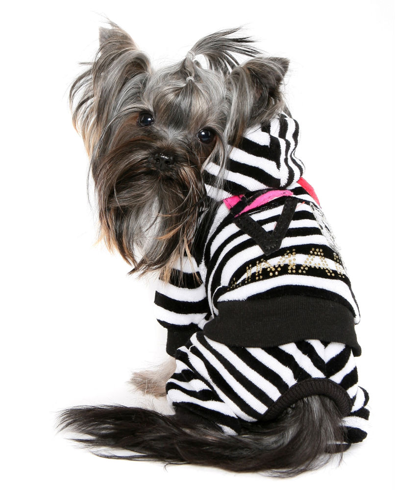 Приданое для маленьких собачек -Л*... Приданое для маленьких собачек -Л*...