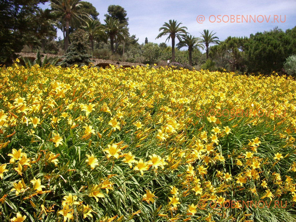 Парк Гуэль в Барселоне
www.osobe... Парк Гуэль в Барселоне
www.osobe...