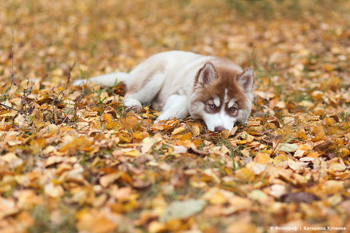 Так много планов и идей для реализ... Так много планов и идей для реализ...