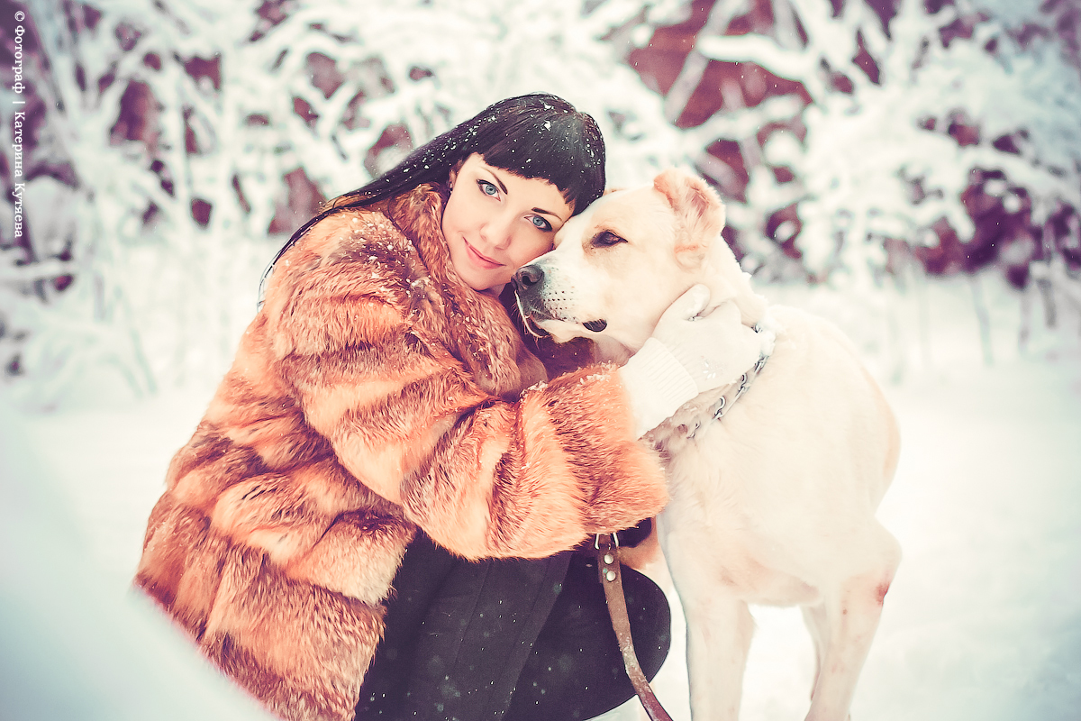 Фотография к теме о съемки с Хаски... Фотография к теме о съемки с Хаски...